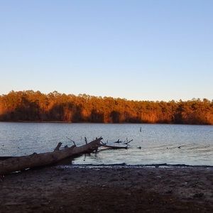 Meet your Posher, Tori